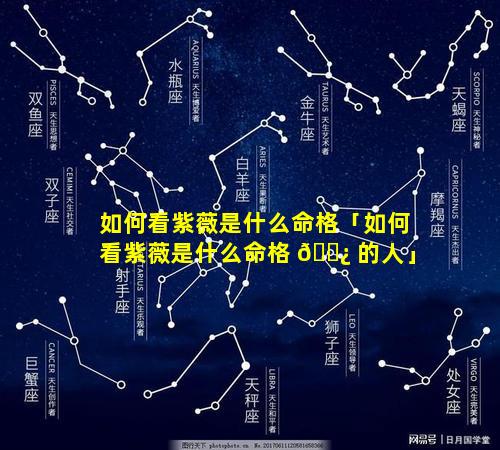 如何看紫薇是什么命格「如何看紫薇是什么命格 🌿 的人」